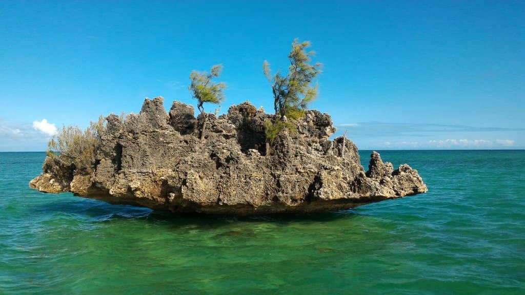 Surfing and Watersports