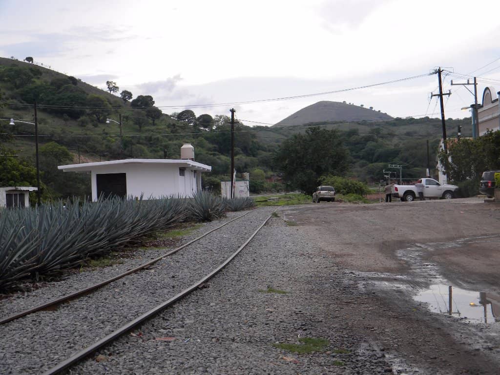 Festive Light Displays