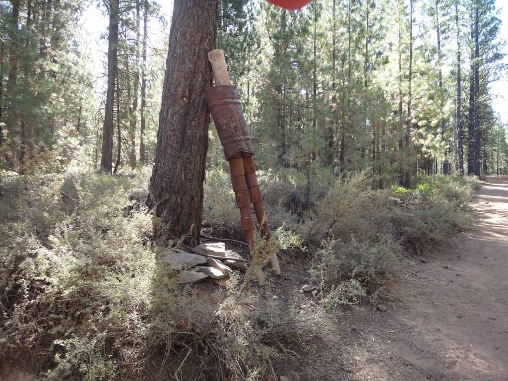 Tyler's Area Trails
