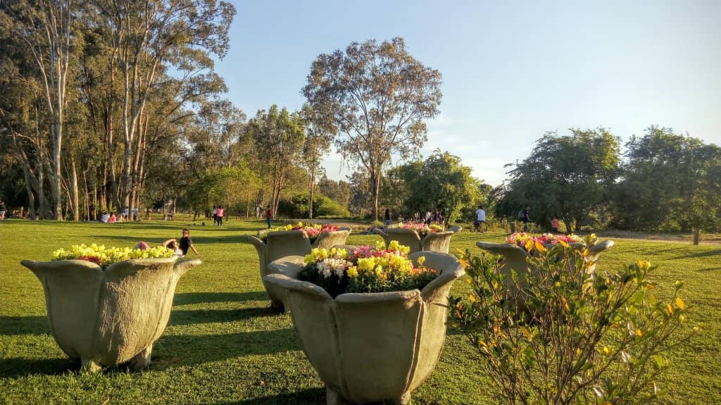 Green Spaces for Recreation