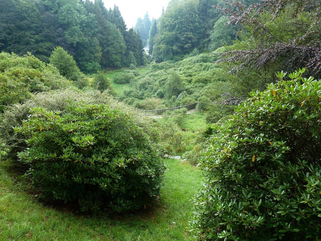 Dan Graham's 'Two Way Mirror'