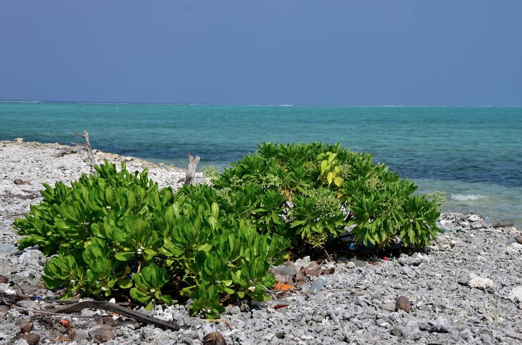 Cheriyam Island Lagoon