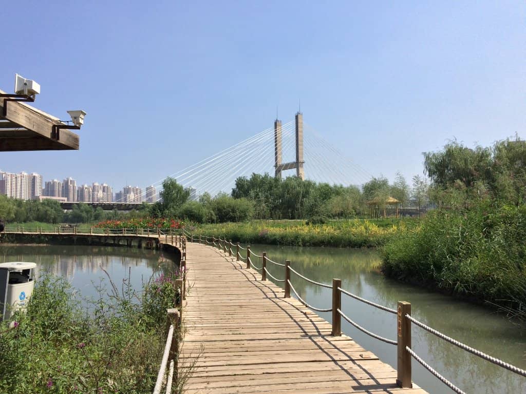 Surrounding City Charm