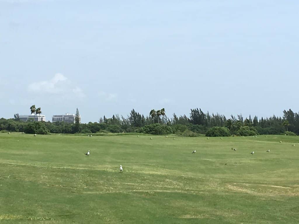 Challenging Rough