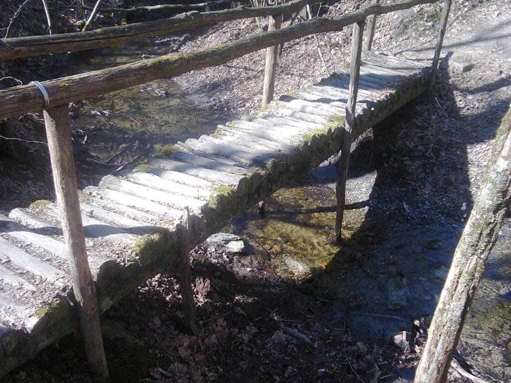 Forest Trails & Wild Strawberries