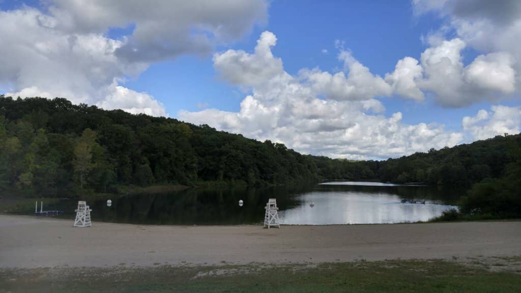 Dog-Friendly Paradise