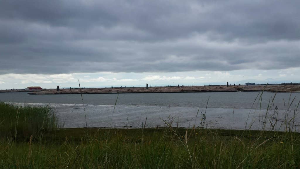 Shipwreck Remnants