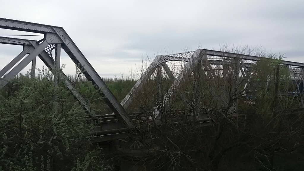 River Ecosystem Views