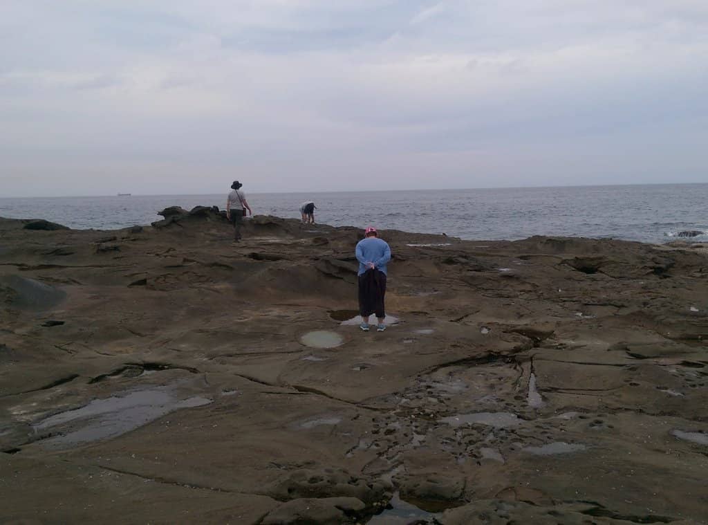 Picnic Spots with a View