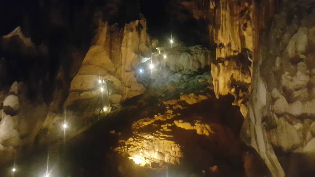 Hop On Hop Off Bus Tour