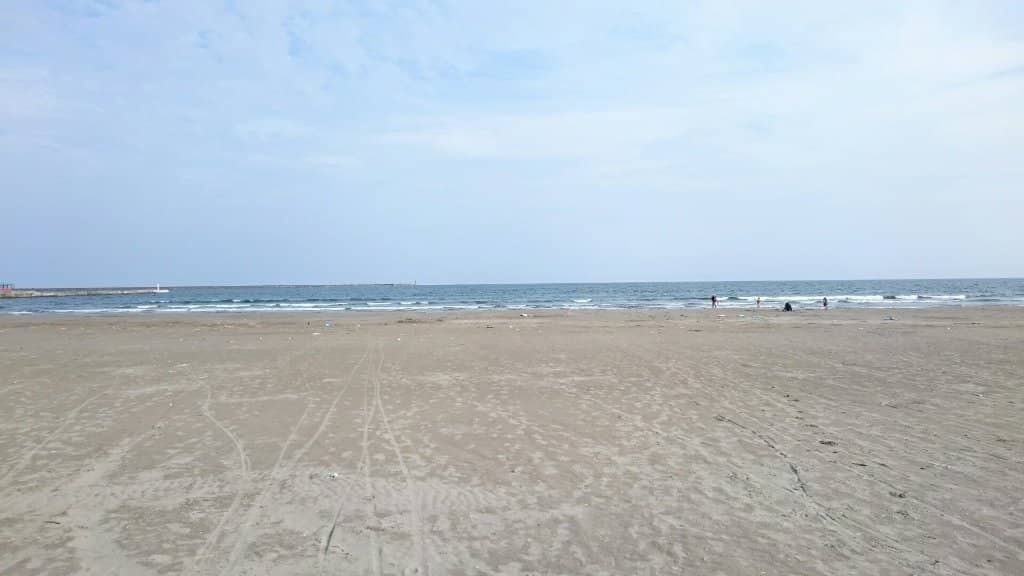 Sand Flat Races