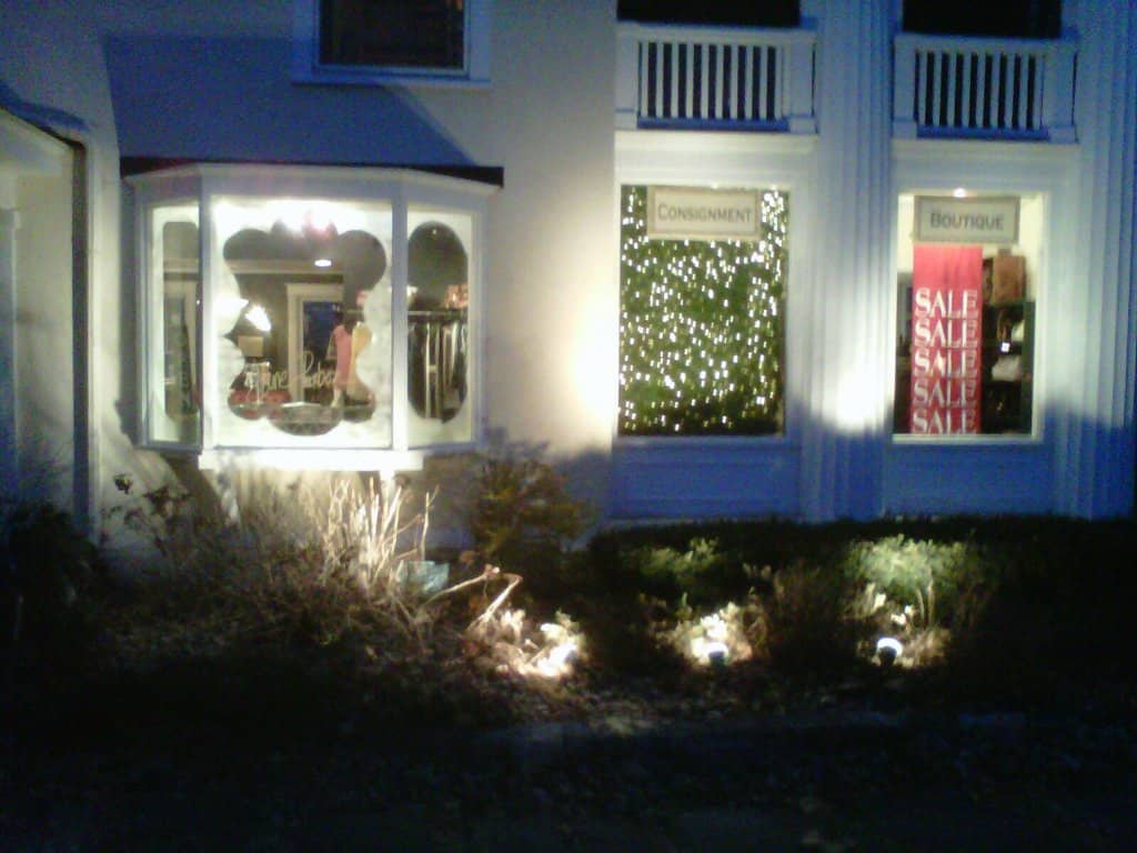 Ruth Crowe Artist Studio