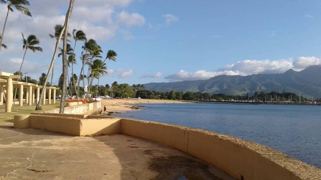 Beginner-Friendly Surf Breaks