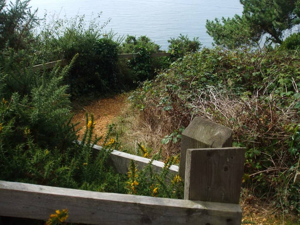 Picnic Spot Perfection