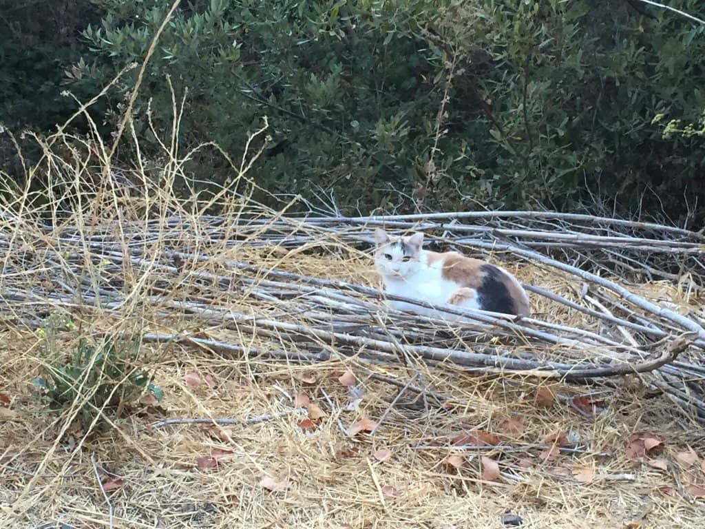 Paved & Gravel Segments