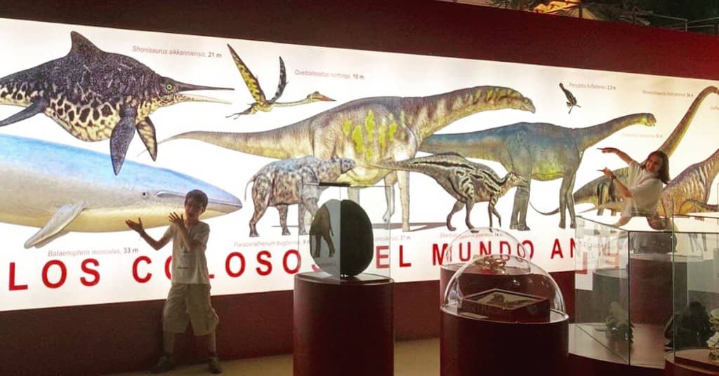 The Main Dinosaur Exhibit
