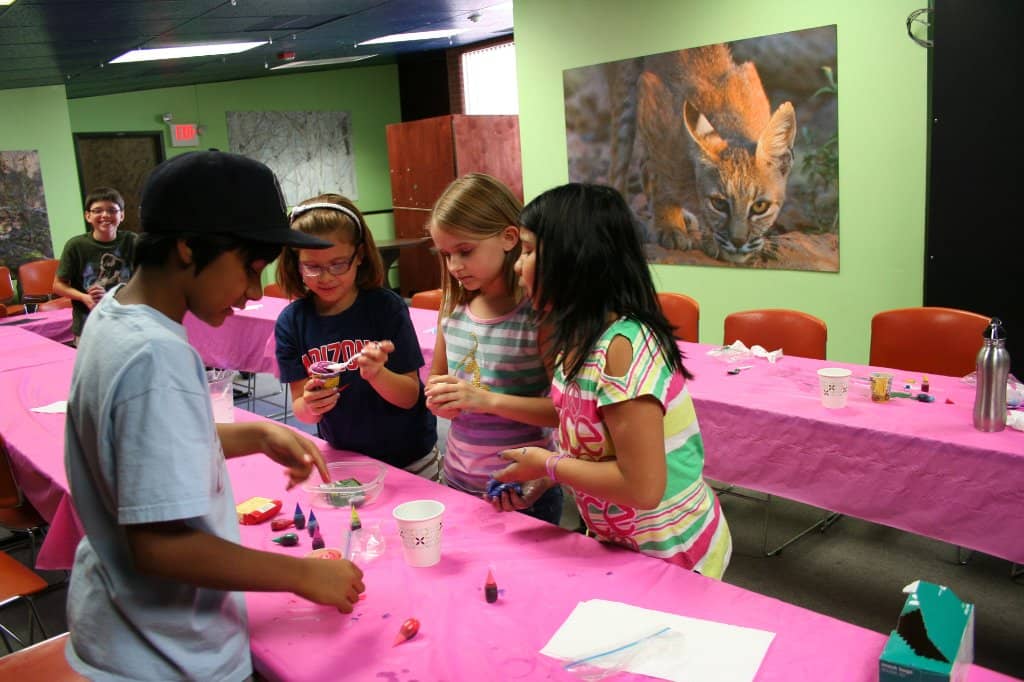 Shark & Aquatic Exhibits