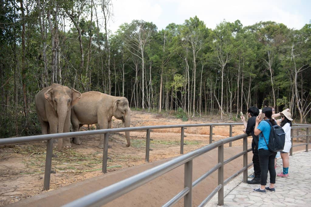 Animal Shows & Performances