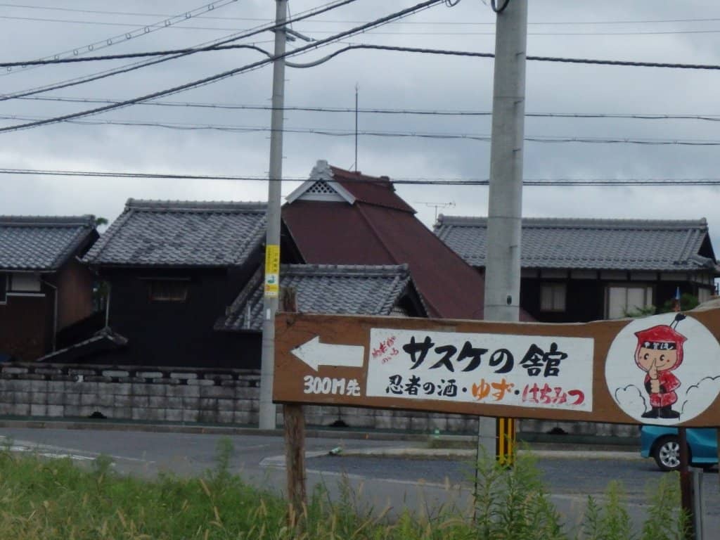 Interactive Traps & Hideouts