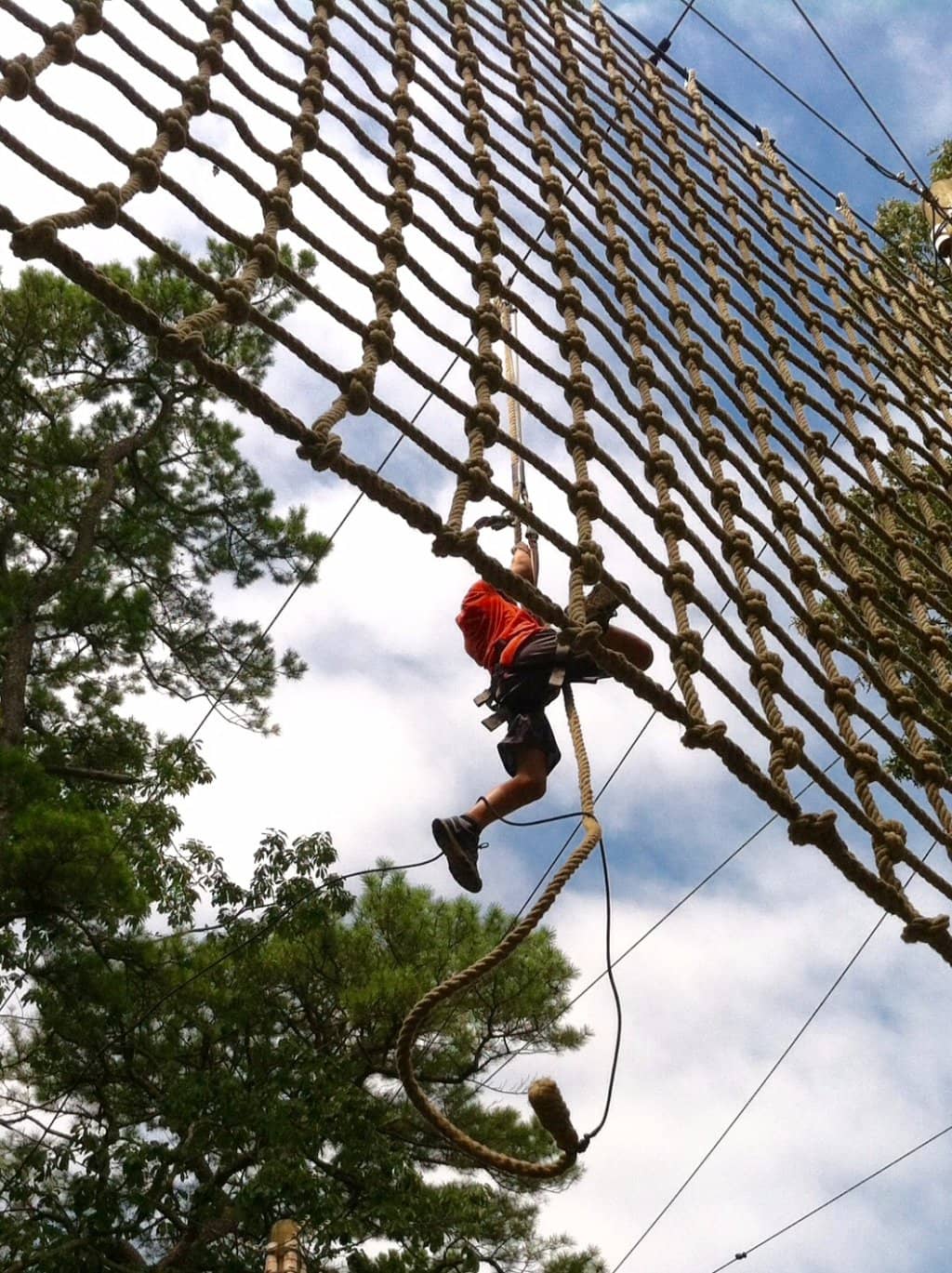 Vertical photo