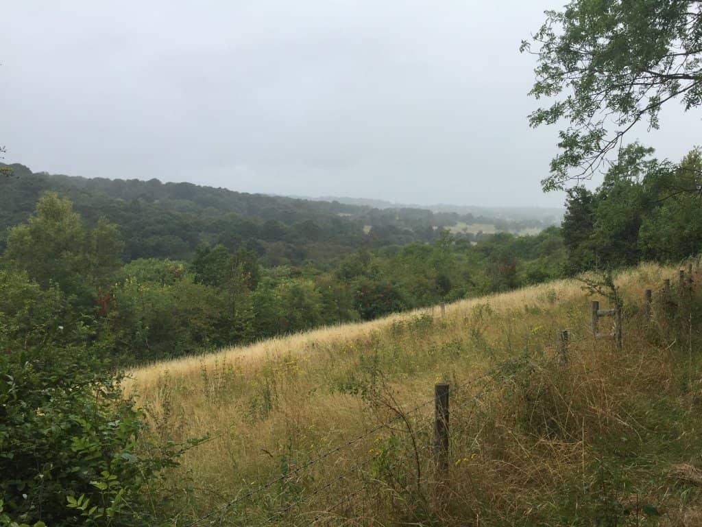 Panoramic Views