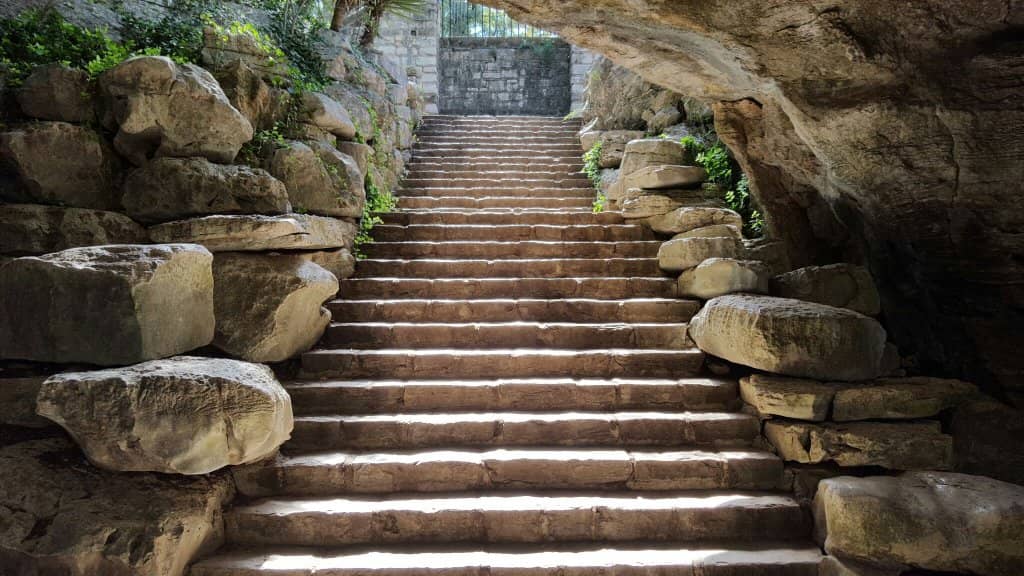 Tricolored Bat Habitat