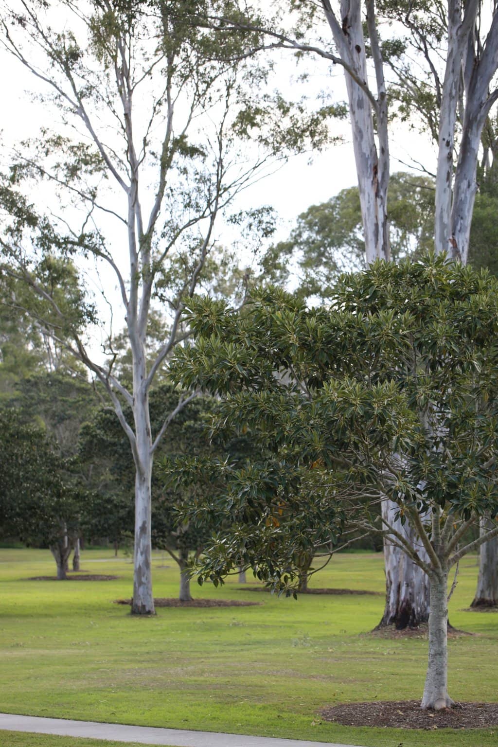 Extensive Walking & Riding Trails