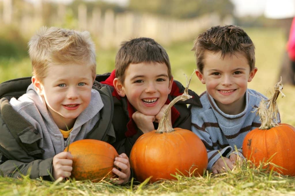 Seasonal Events