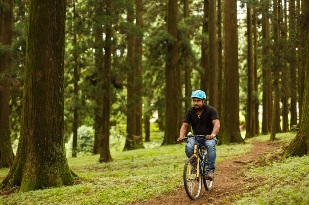 Charming Forest Setting