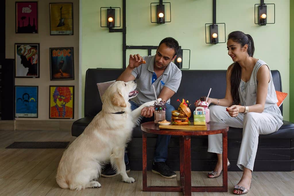 Panoramic Hill Views