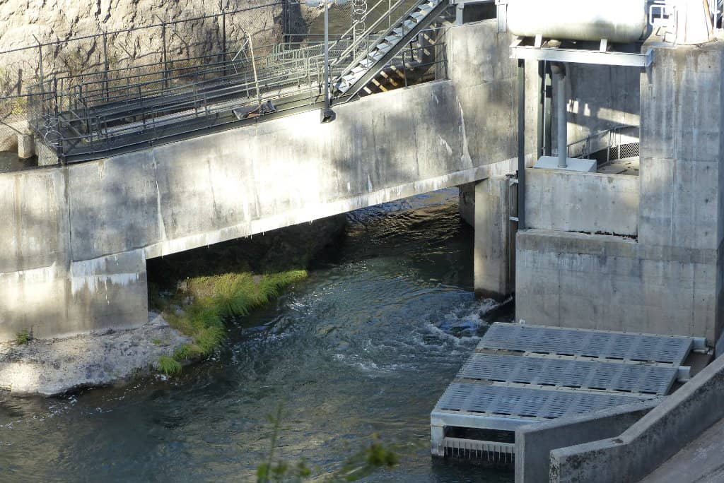 Fish Hatchery Exploration