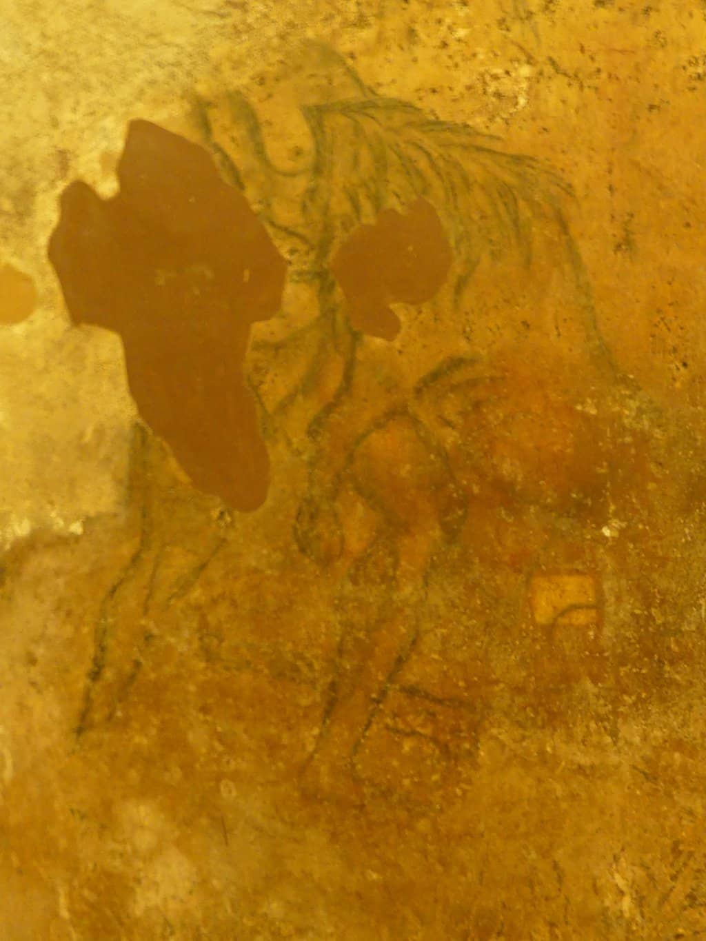 Photogenic Front Doors