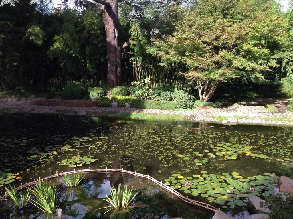 Archives de la Planète