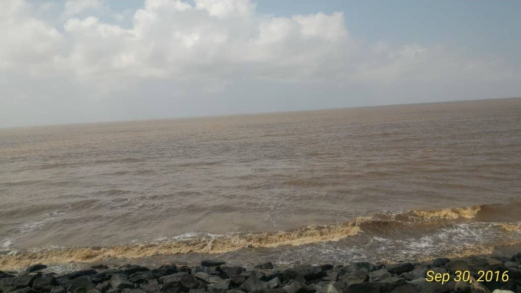 Local Bazaar & Snacks