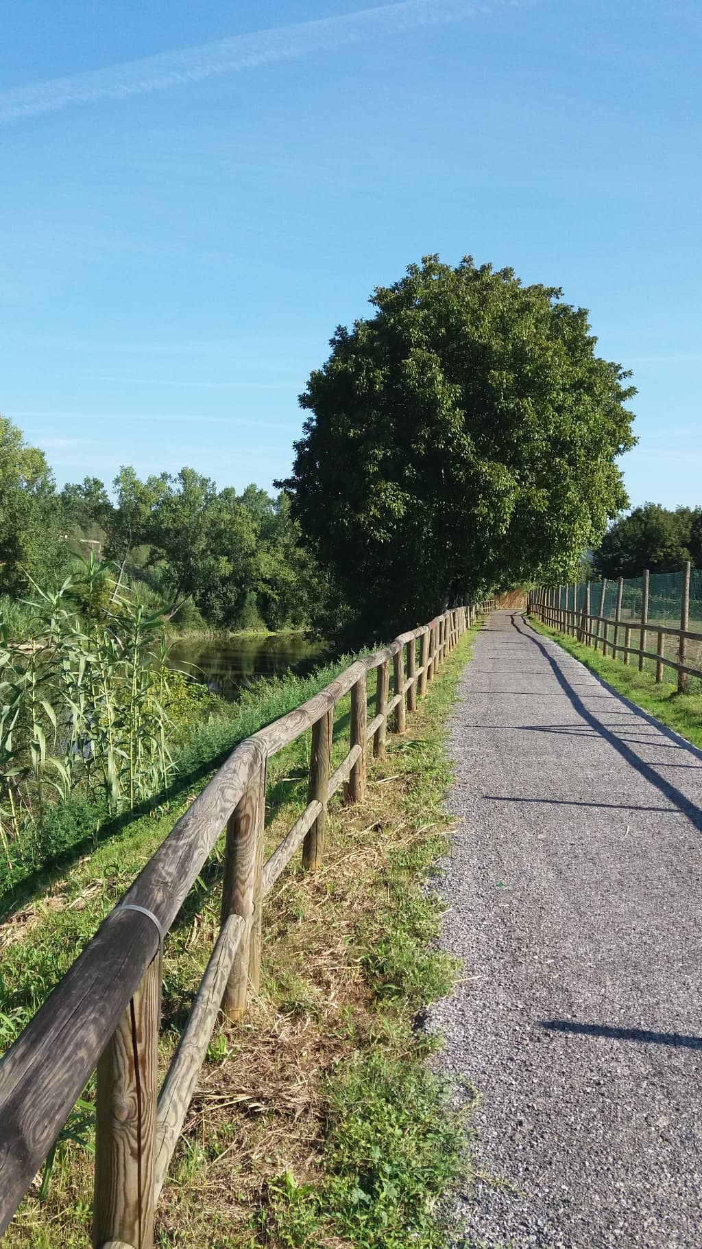 Spotlessly Clean Rooms