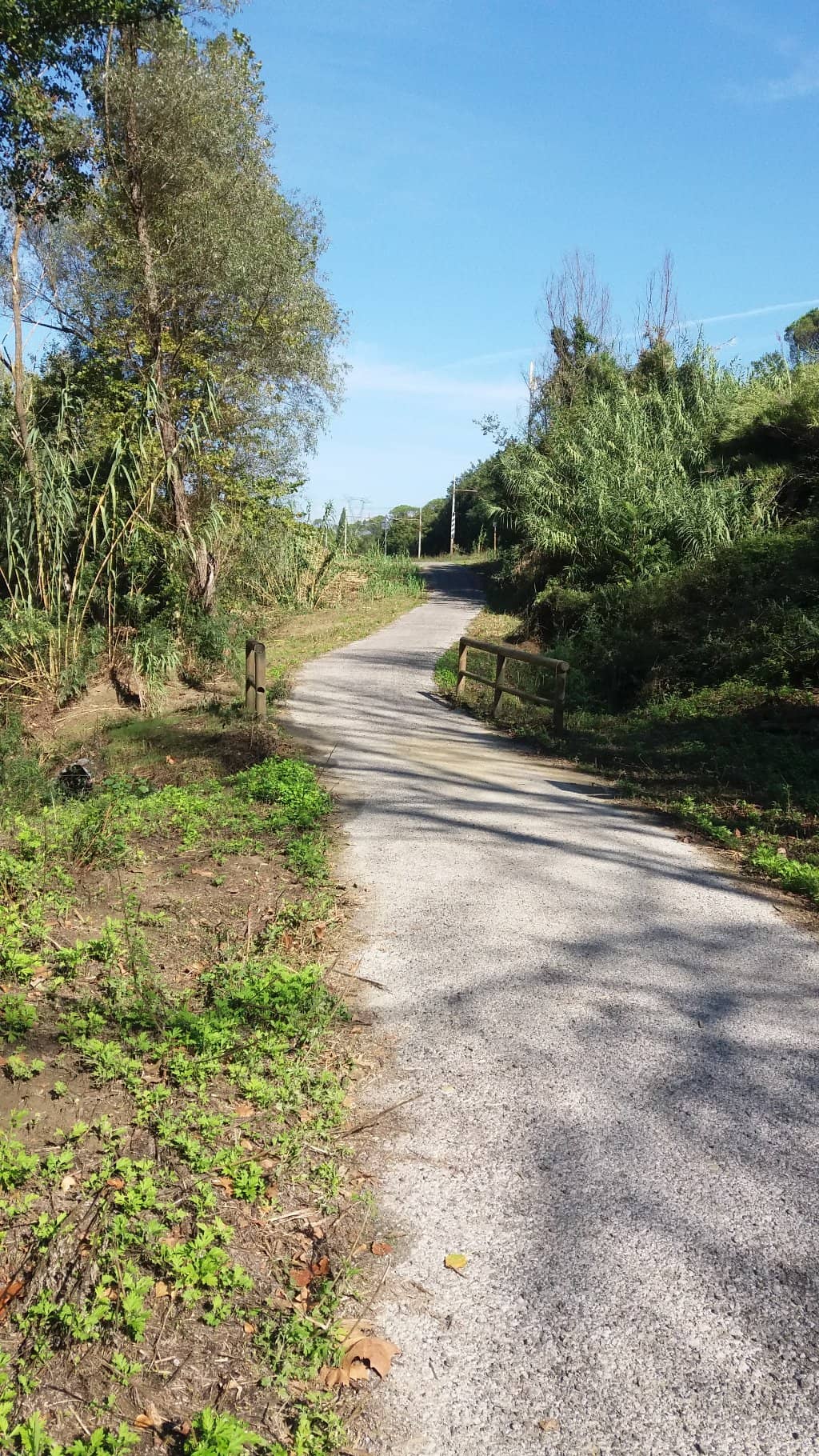 Guesthouse Dining Experience