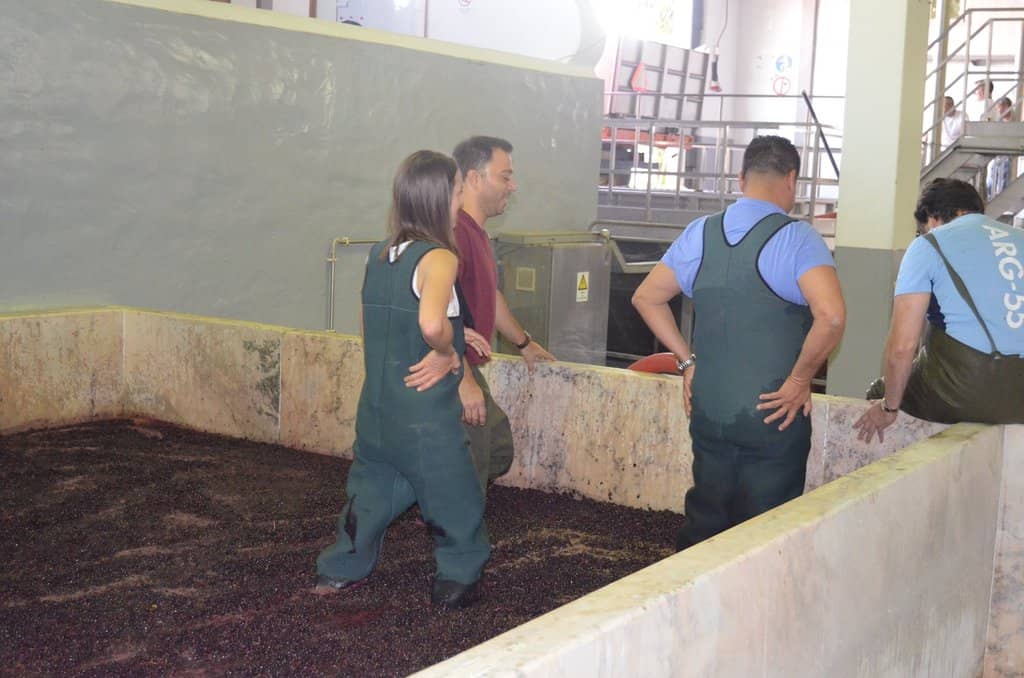 Traditional Foot-Trodding