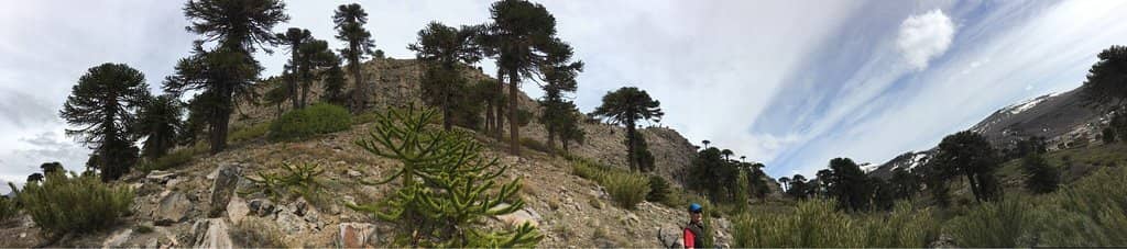 Scenic Ascent Views