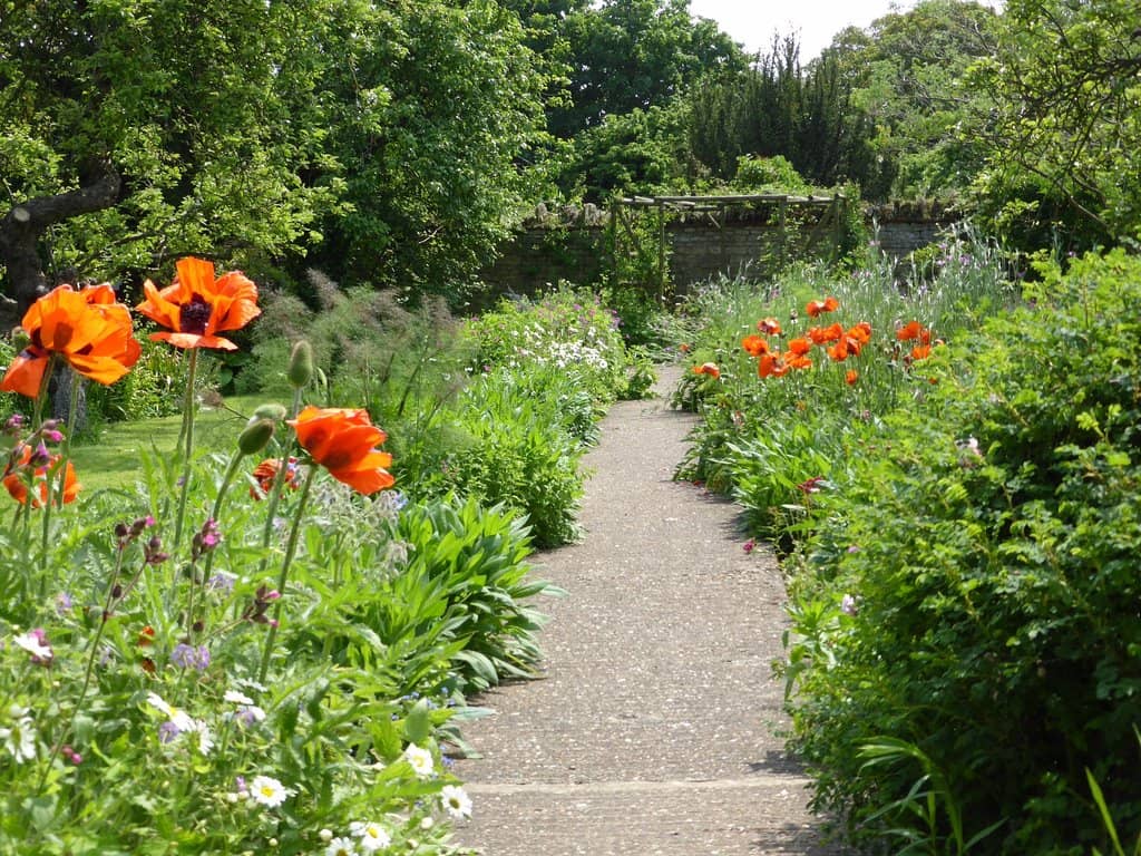 John Newton's Legacy