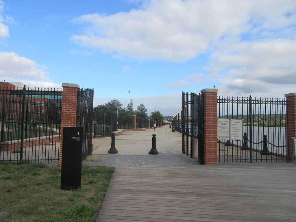 Summer Terrace Dining