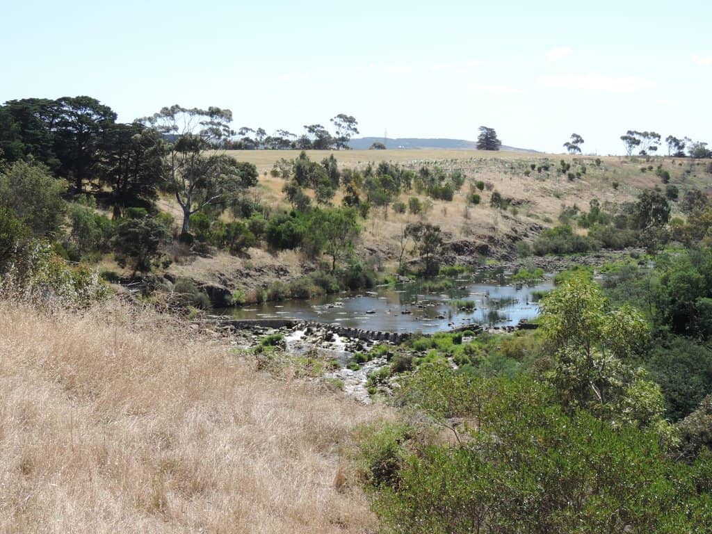Scenic Walking Trails