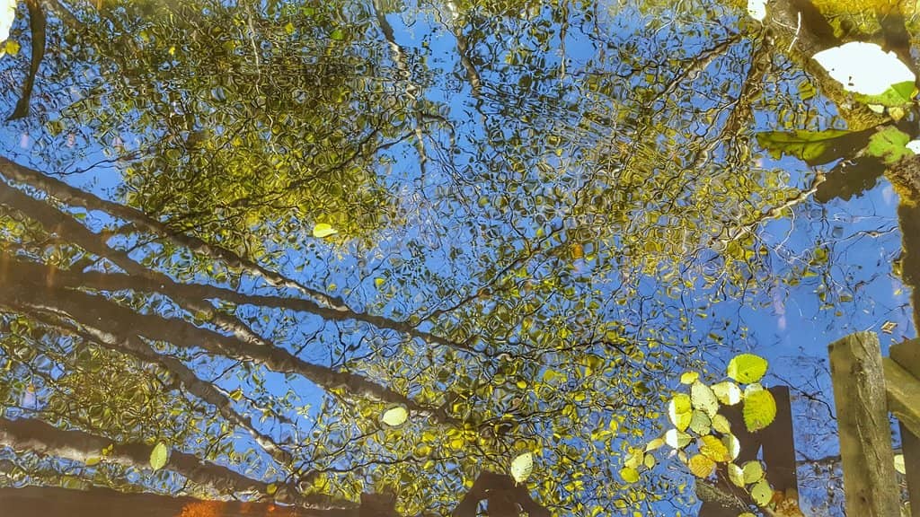 Vertical photo