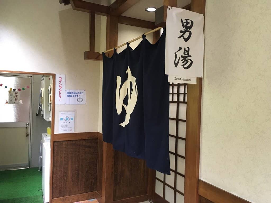 Forest Bathing Serenity