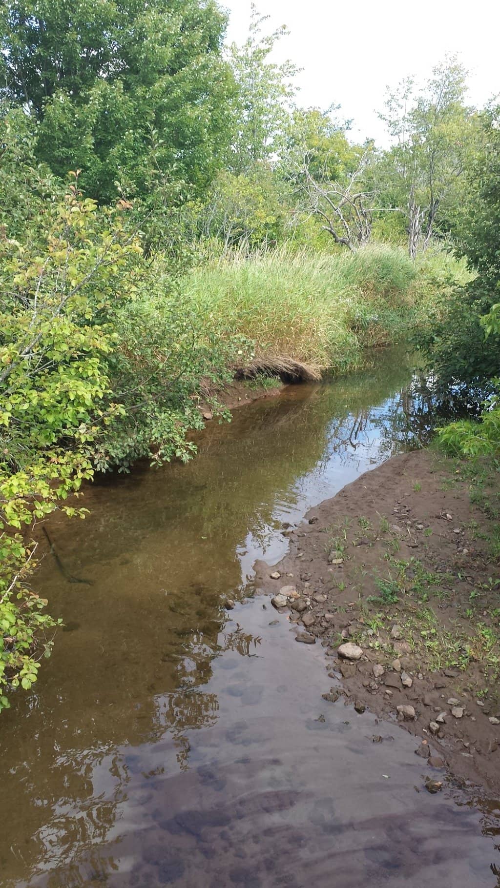 Winter Snowshoeing/Skiing