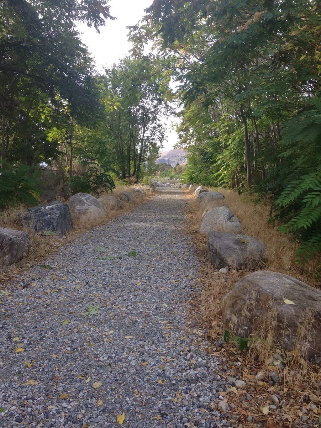 Shaded Campsites