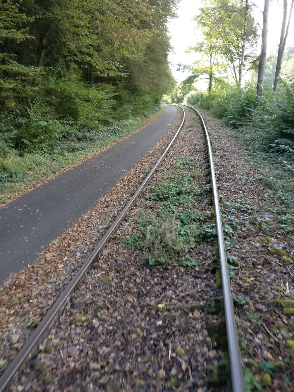 Vertical photo