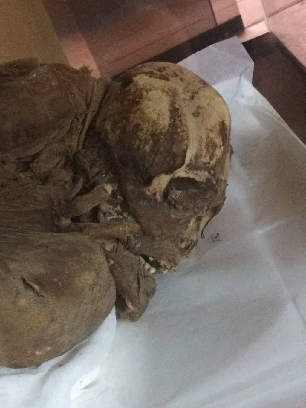 Oro de Frías Collection