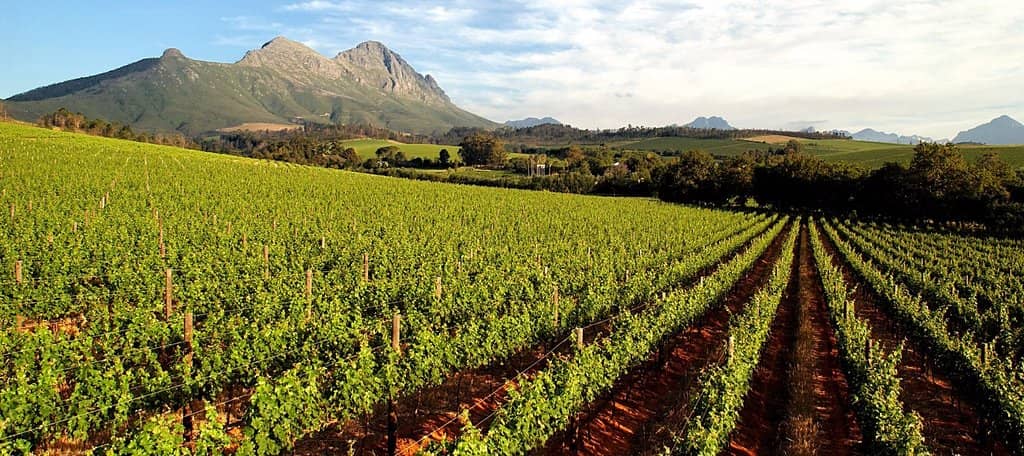 Kurktafel Heritage Lunch