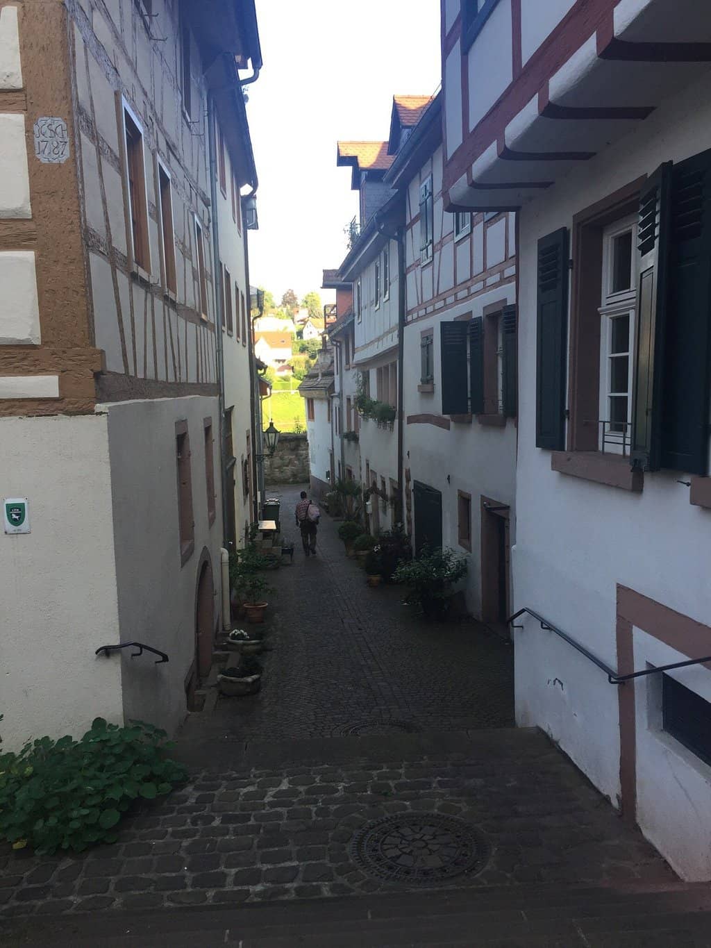 Panoramic Neckar River Views