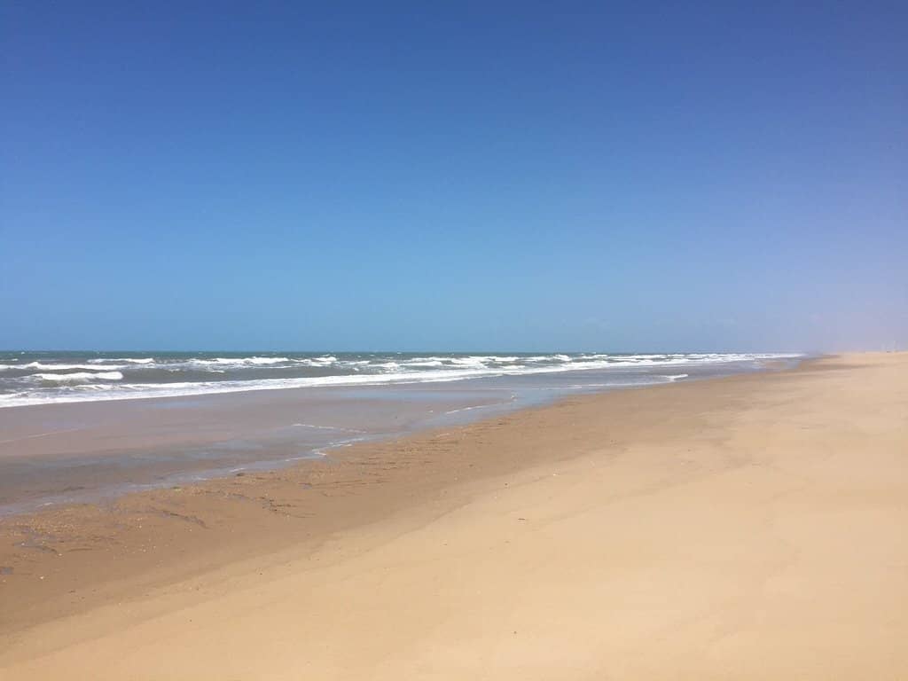 Street Food Delights